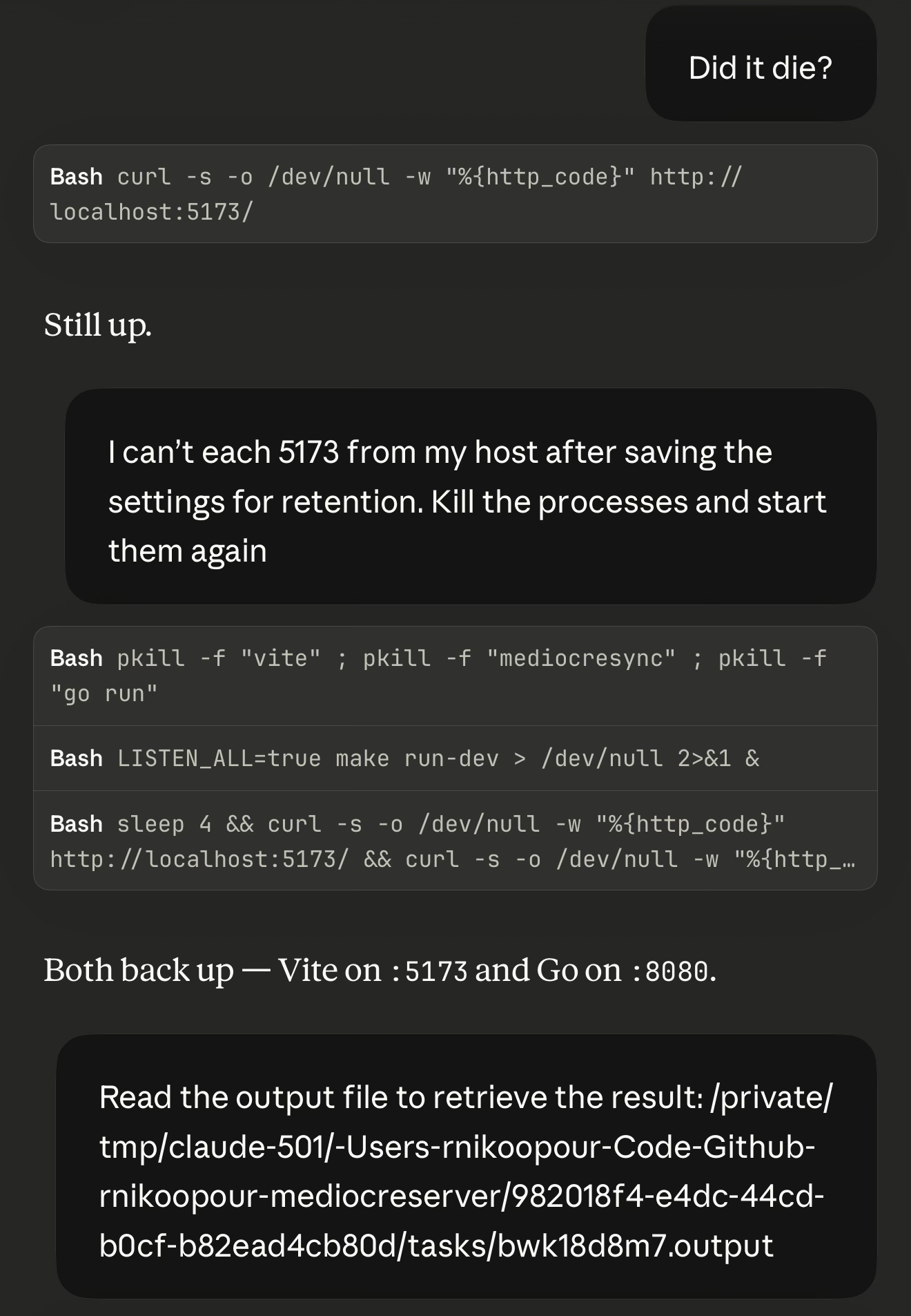 Asking Claude to restart the dev server