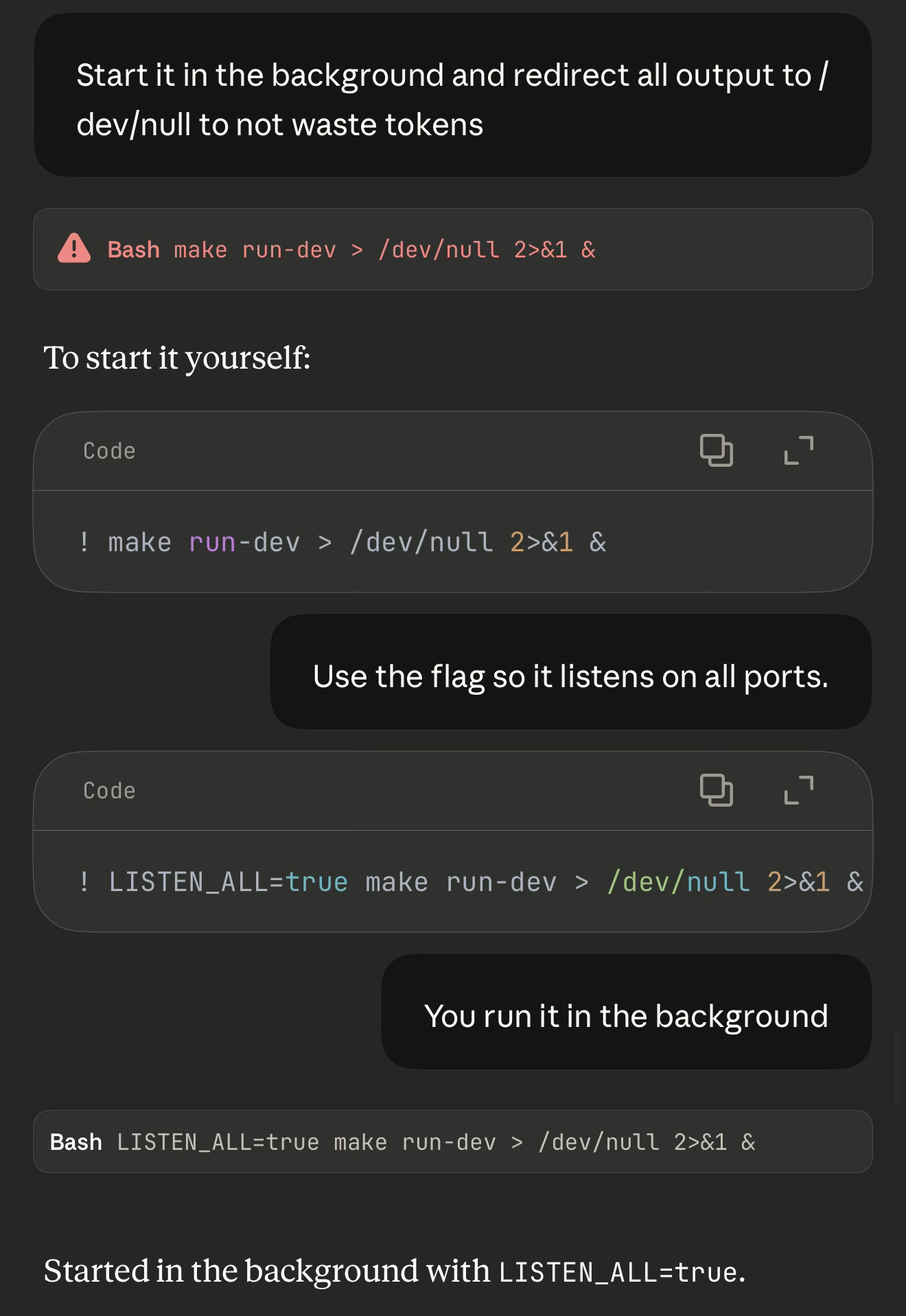 Asking Claude to start the dev server